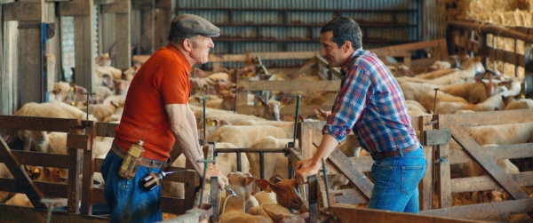 Ciné débat "Au nom de la terre" mardi 1 octobre à 19h30 en présence de bénévoles de Solidarité Paysans au cinéma Le Singuliers !