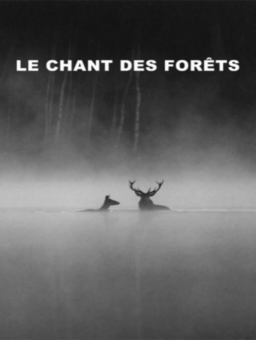 Le Chant des forêts