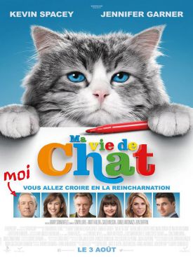 MA VIE DE CHAT