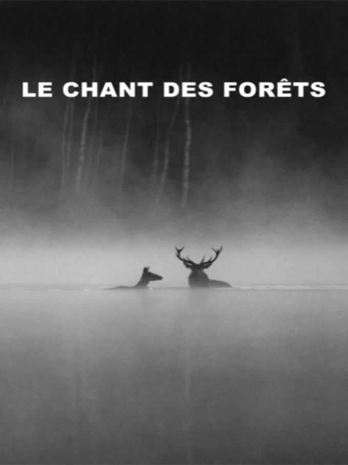 Le Chant des forêts