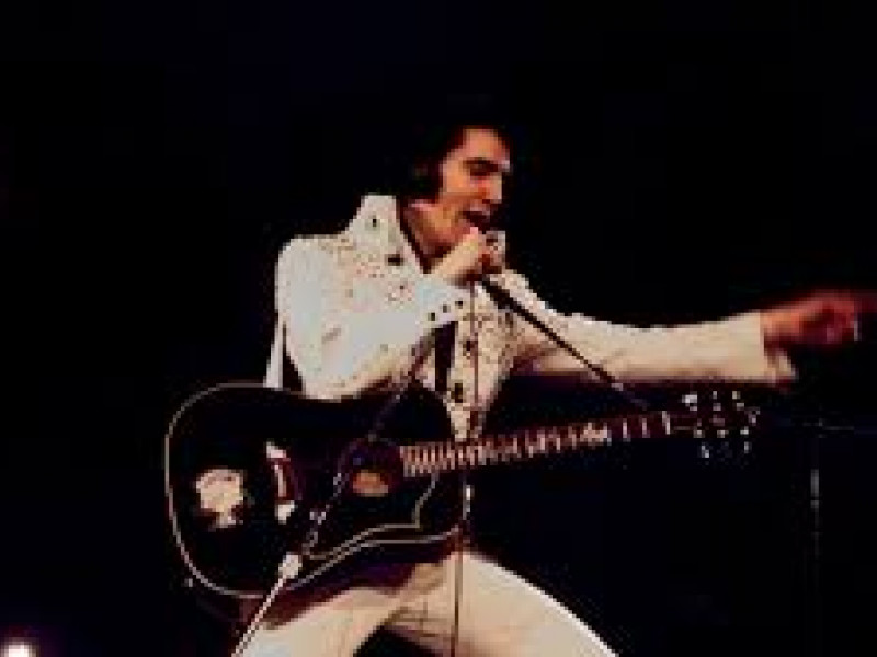 Concert, films musicaux et spectacle